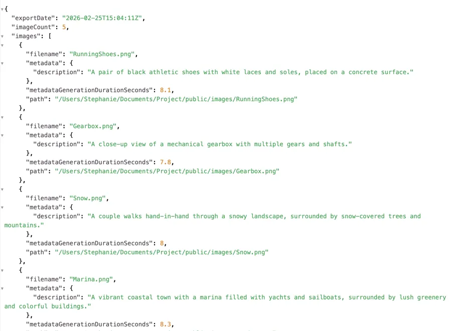 JSON-export met gegenereerde alt-tekst gekoppeld aan afbeeldingspaden