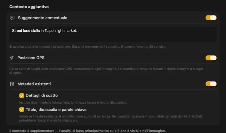 Pannello Additional Context di VisionTagger che mostra le fonti di contesto