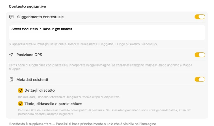 Pannello Additional Context di VisionTagger che mostra le fonti di contesto