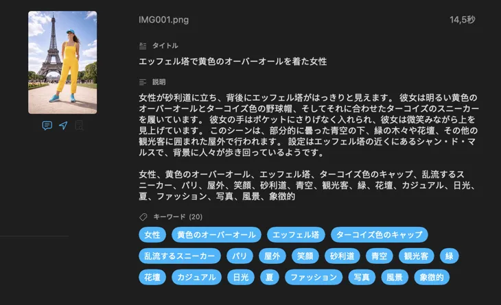ローカルAIで画像に対して VisionTagger が生成したメタデータ