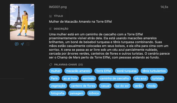 Metadados gerados pelo VisionTagger para uma imagem usando IA local