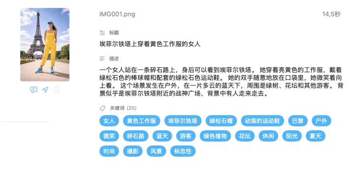 VisionTagger 使用本地 AI 为一张图片生成的元数据